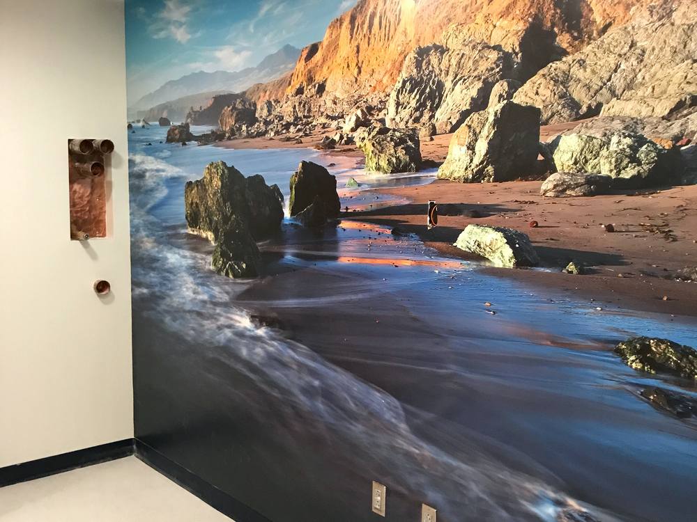 Coastal cliffs wall mural